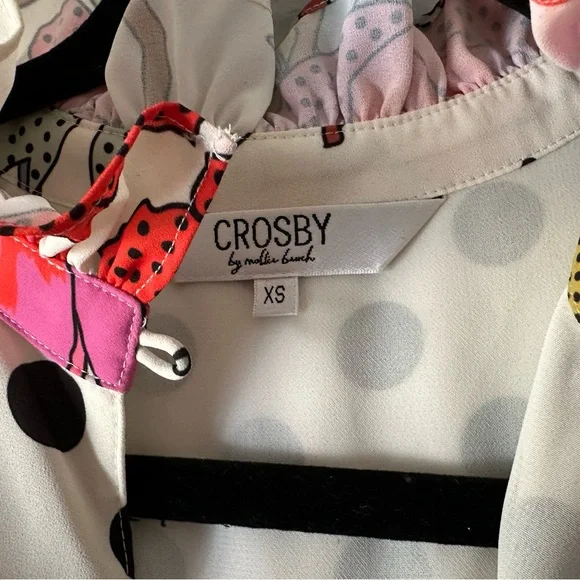 CROSBY by Mollie Burch Floral and Polka Dot Dress - Picture 5 of 5